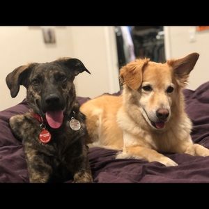 Meet your Posher, Leyen